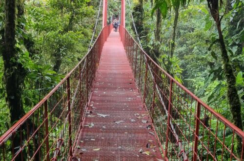 Monteverde Hanging bridge, Costa Rica